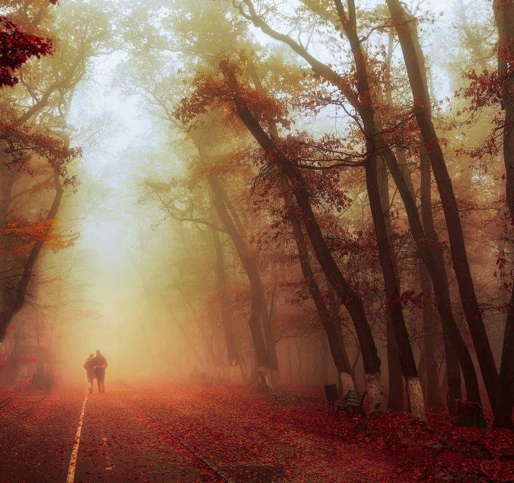 herbst gemeinsam